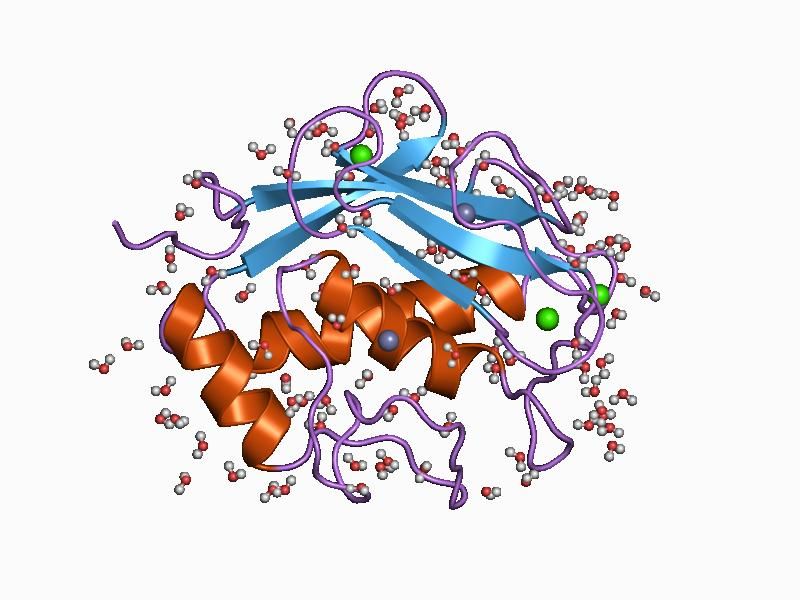 File:PDB 1cge EBI.jpg