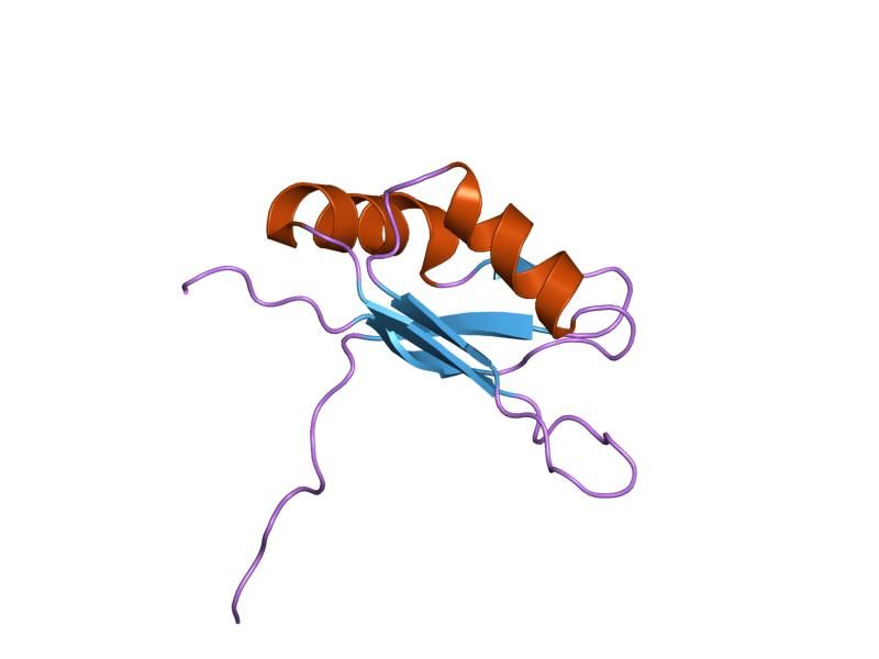 File:PDB 1d8z EBI.jpg