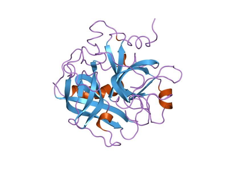 File:PDB 1ppb EBI.jpg