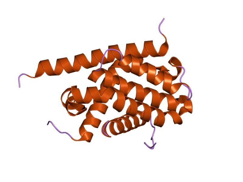 File:PDB 1pq1 EBI.jpg