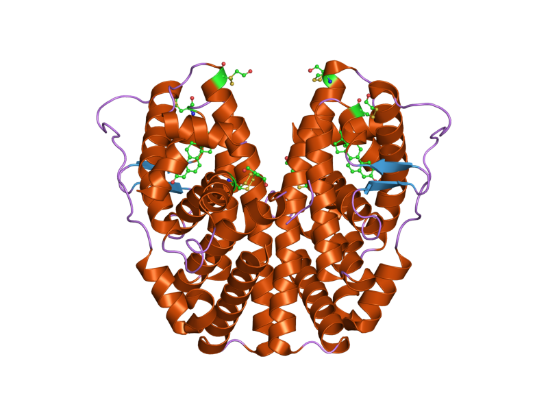 File:PDB 2b1z EBI.png