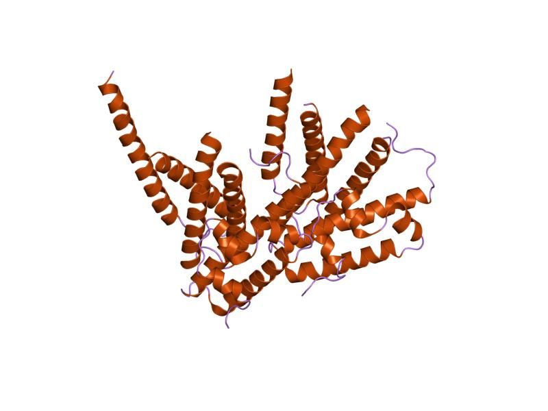 File:PDB 2caz EBI.jpg