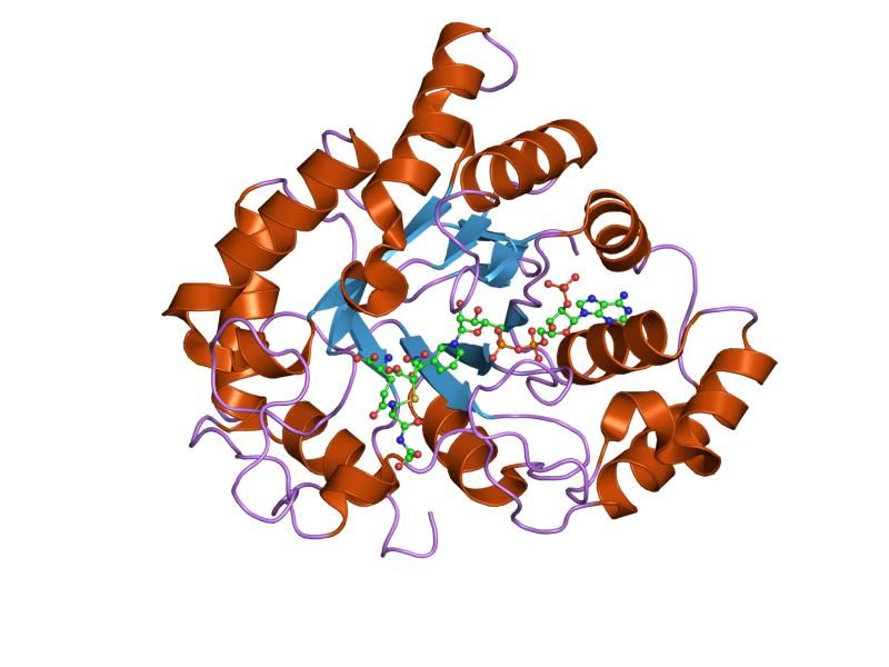 File:PDB 2f2k EBI.jpg