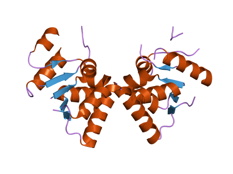 File:PDB 2hwy EBI.png