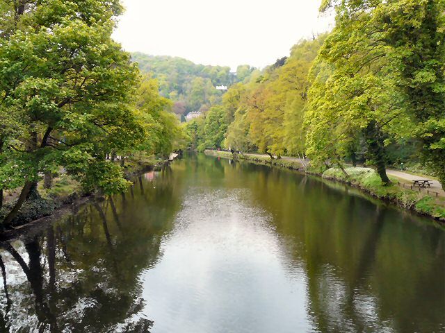 File:River Derwent - geograph.org.uk - 1860956.jpg