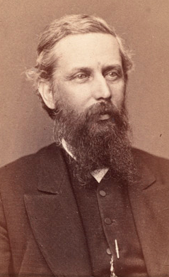 File:1874 William Francis Salmon senator Massachusetts.png