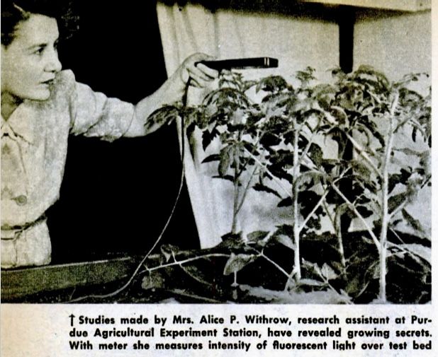 File:Alice P. Withrow Popular Mechanics 1946.jpg