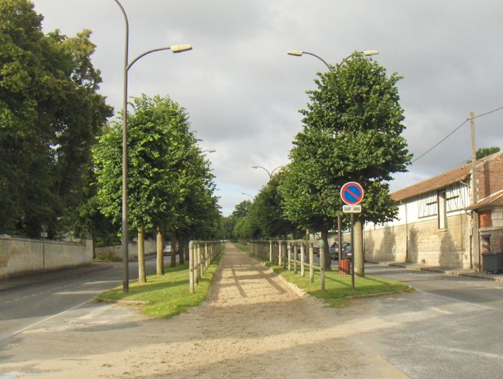 File:Allée bois st-denis.jpg