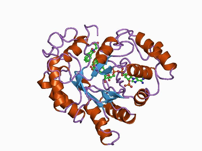 File:PDB 1az1 EBI.jpg