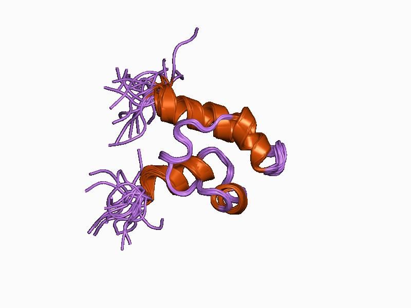 File:PDB 1cok EBI.jpg