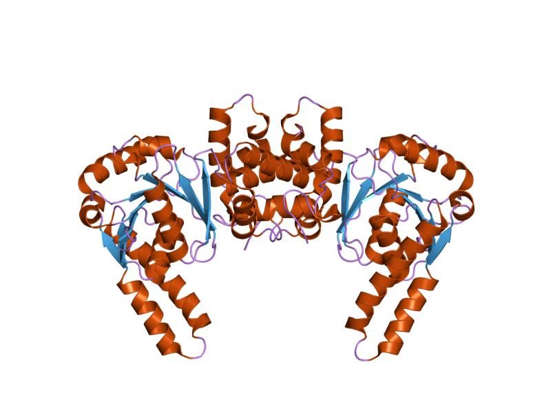 File:PDB 1f14 EBI.jpg