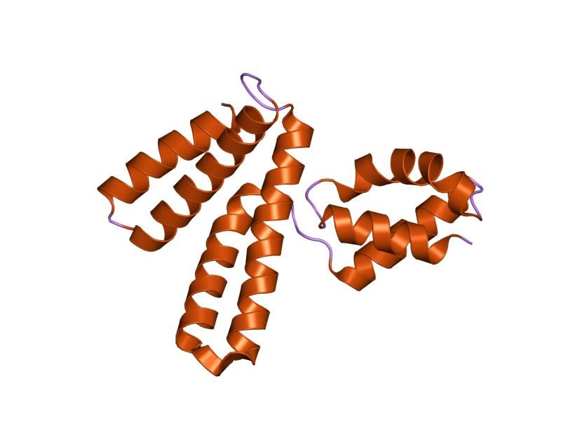 File:PDB 1ng6 EBI.jpg