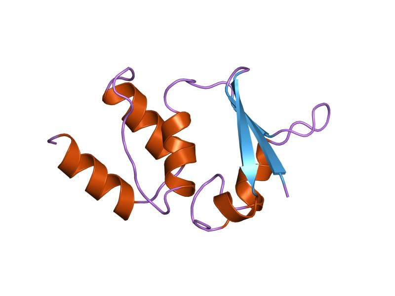 File:PDB 1t1d EBI.jpg