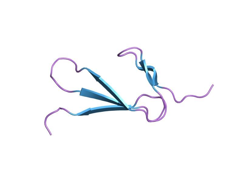 File:PDB 1tpm EBI.jpg