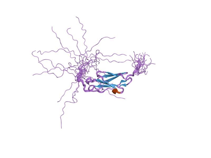 File:PDB 1x5i EBI.jpg