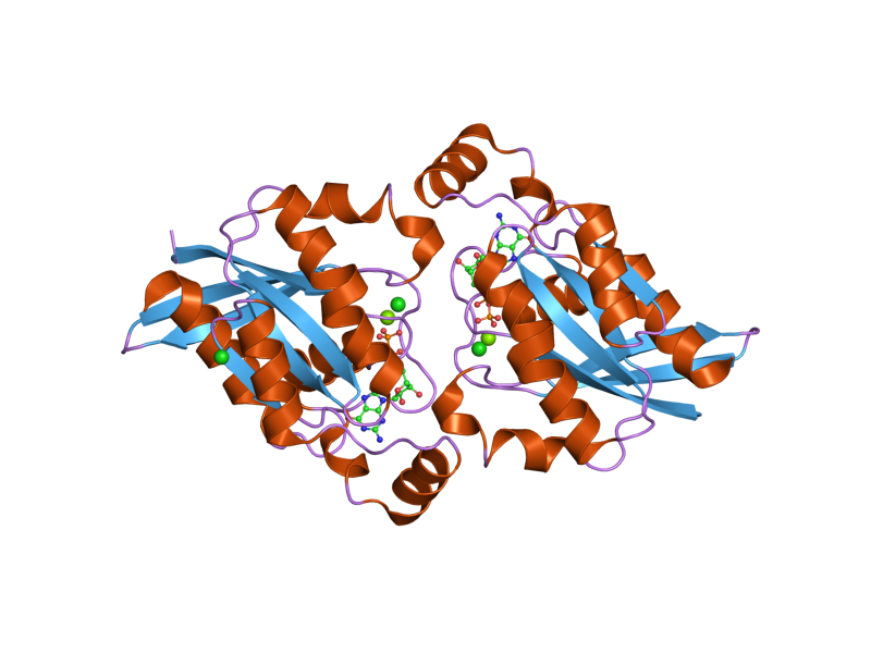 File:PDB 2g0n EBI.png