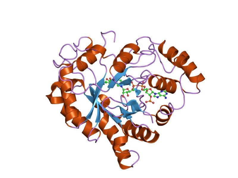 File:PDB 2iqd EBI.jpg