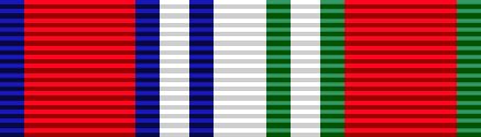 File:Professional Development Medal.JPG