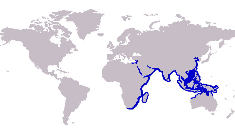 File:S. sihama distribution.PNG