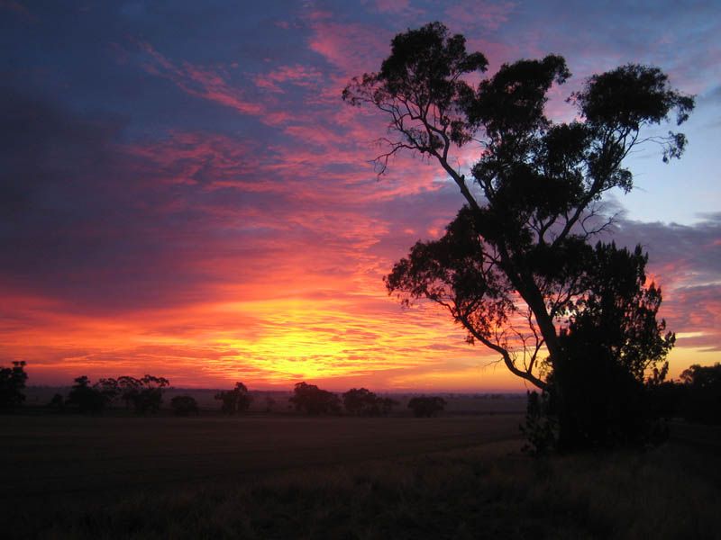 File:Australia sunrise small.jpg