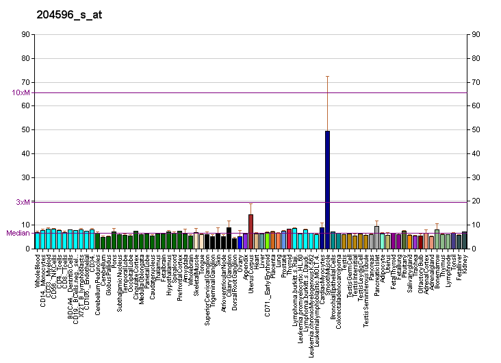 File:PBB GE STC1 204596 s at fs.png