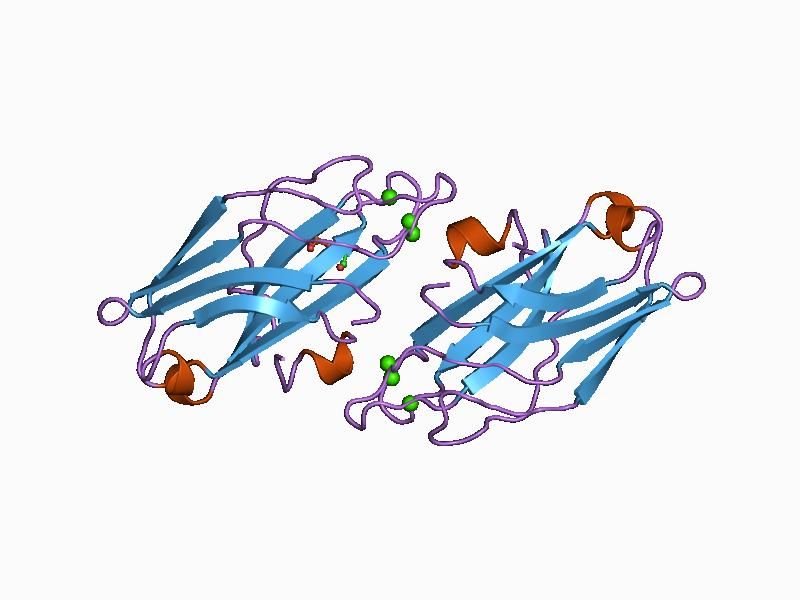 File:PDB 1a25 EBI.jpg