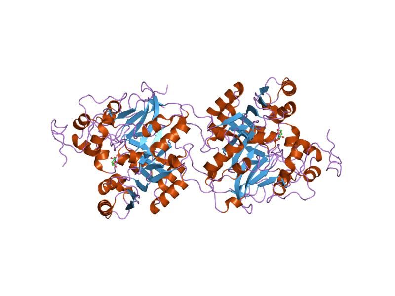 File:PDB 1mu7 EBI.jpg