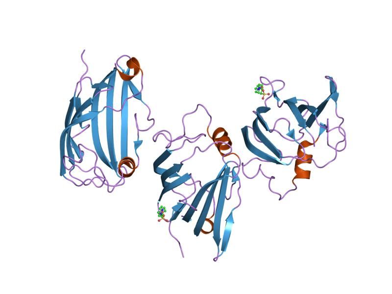 File:PDB 1pu5 EBI.jpg