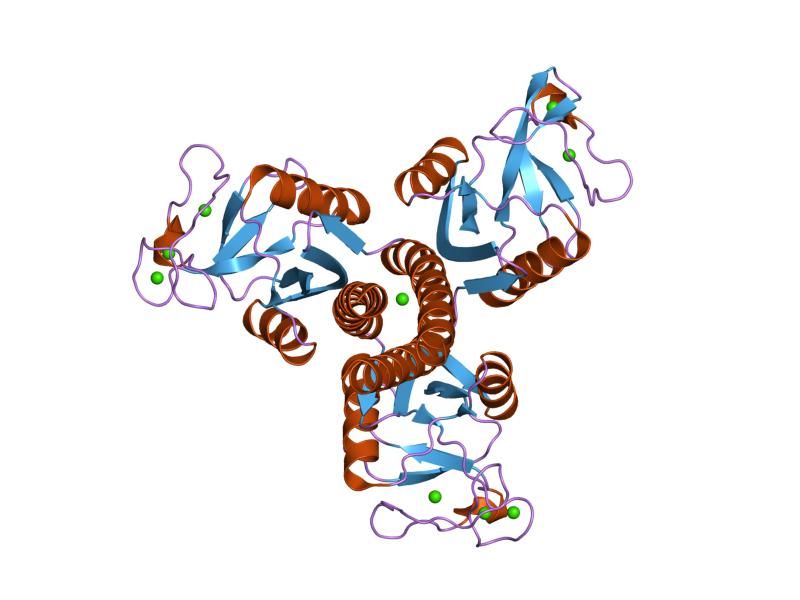 File:PDB 1pw9 EBI.jpg