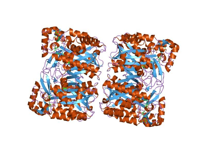 File:PDB 1txt EBI.jpg