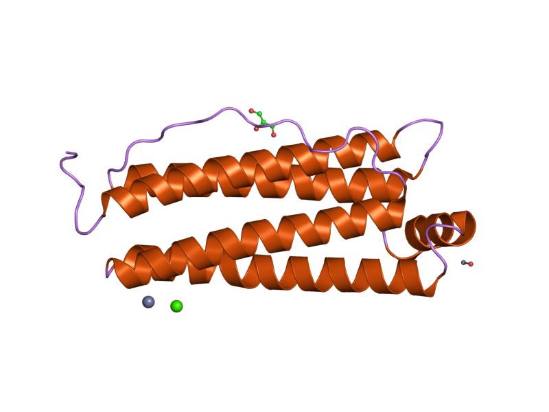 File:PDB 2cn6 EBI.png