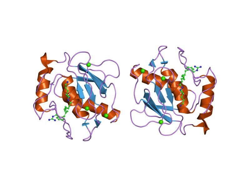 File:PDB 2d1n EBI.jpg