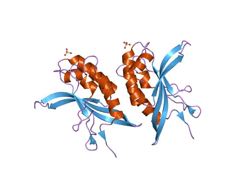 File:PDB 2f0r EBI.jpg