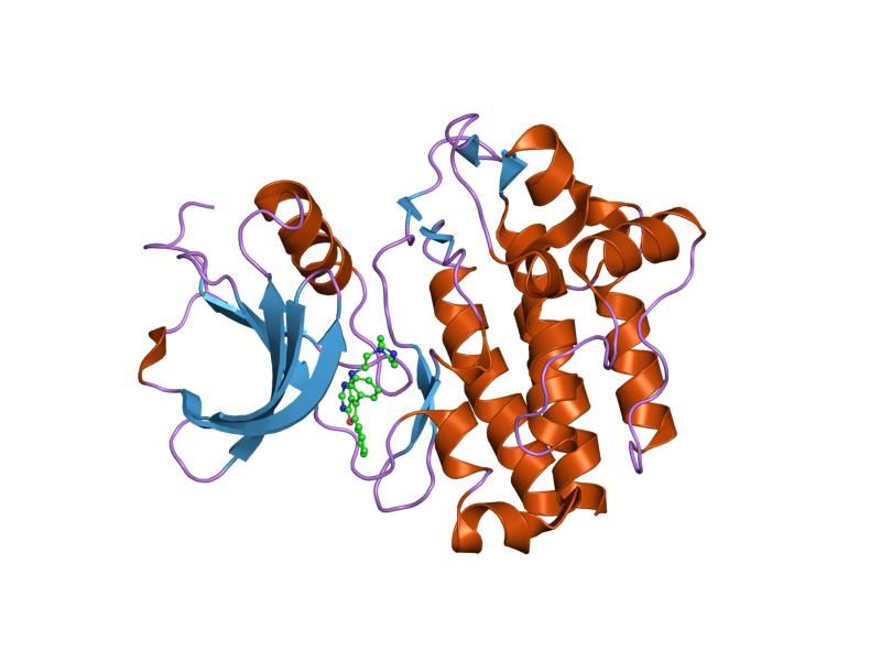 File:PDB 2of4 EBI.jpg