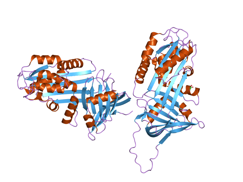 File:PDB 2ol2 EBI.png