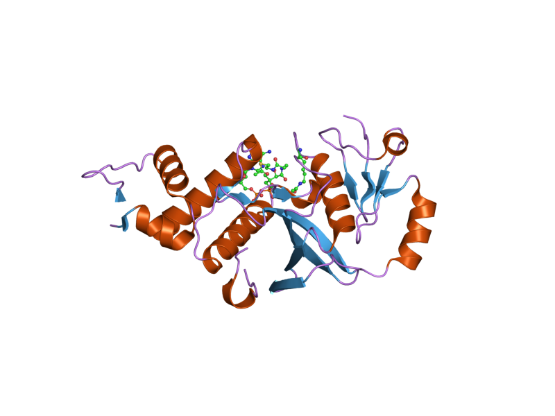 File:PDB 2ou2 EBI.png