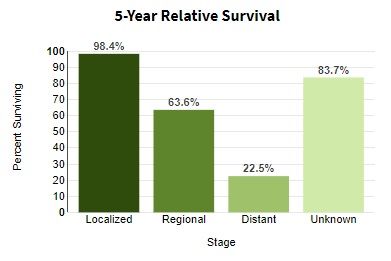 File:5YearSurvival2008to14.jpg