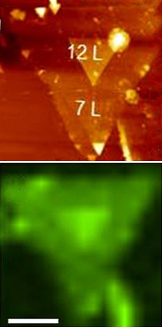 File:AFM vs Raman imaging of GaSe.jpg