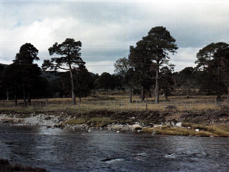 File:Canadiancampsite fenced.jpg