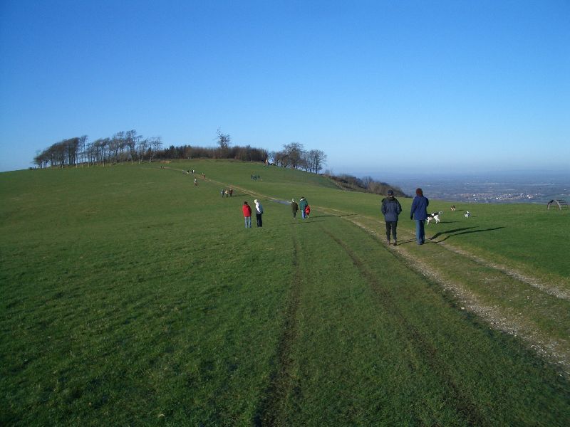 File:Chanctonbury Ring.jpg