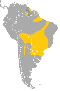 File:Glauco area.png