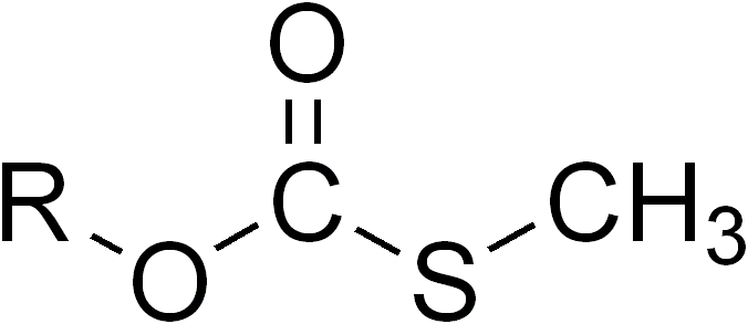 File:Methyl thiocarbonate.png