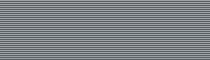 File:Michigan Medal for Valor.png