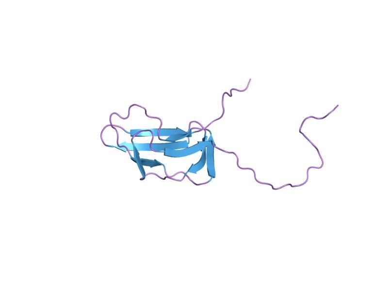 File:PDB 1fyc EBI.jpg