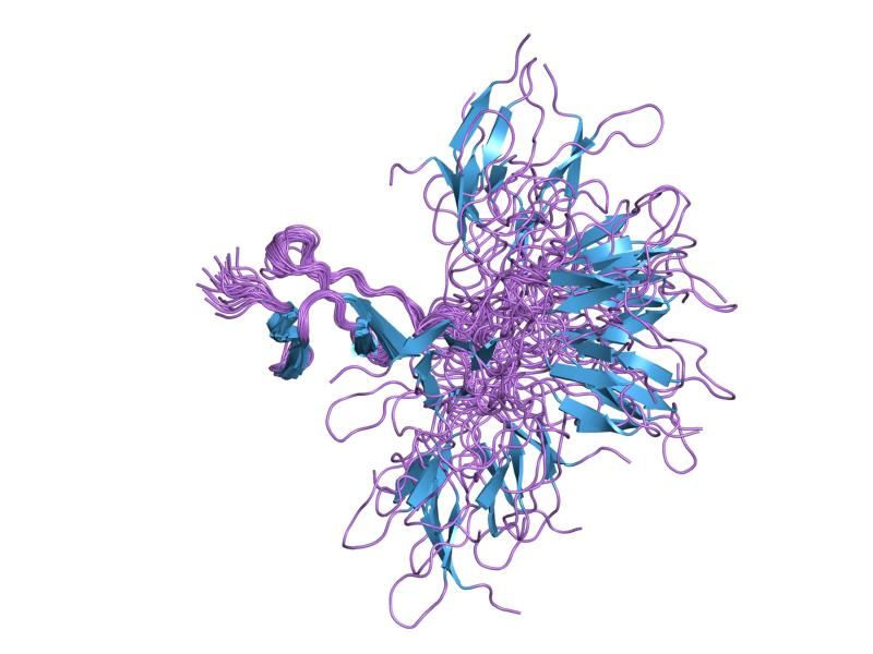 File:PDB 1qgb EBI.jpg