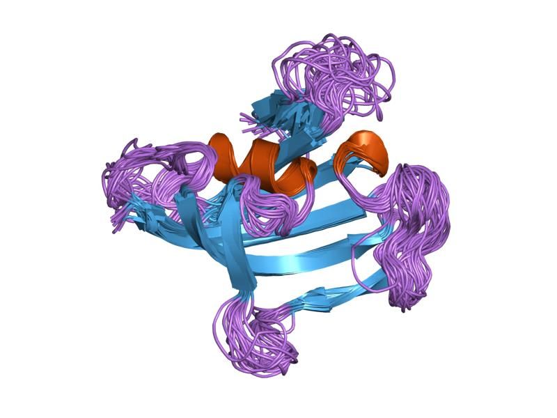 File:PDB 1rou EBI.jpg