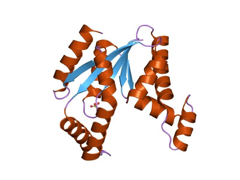 File:PDB 1tev EBI.jpg