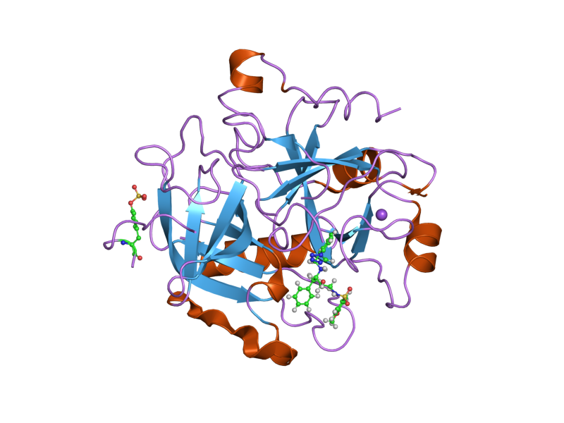 File:PDB 2c8w EBI.png