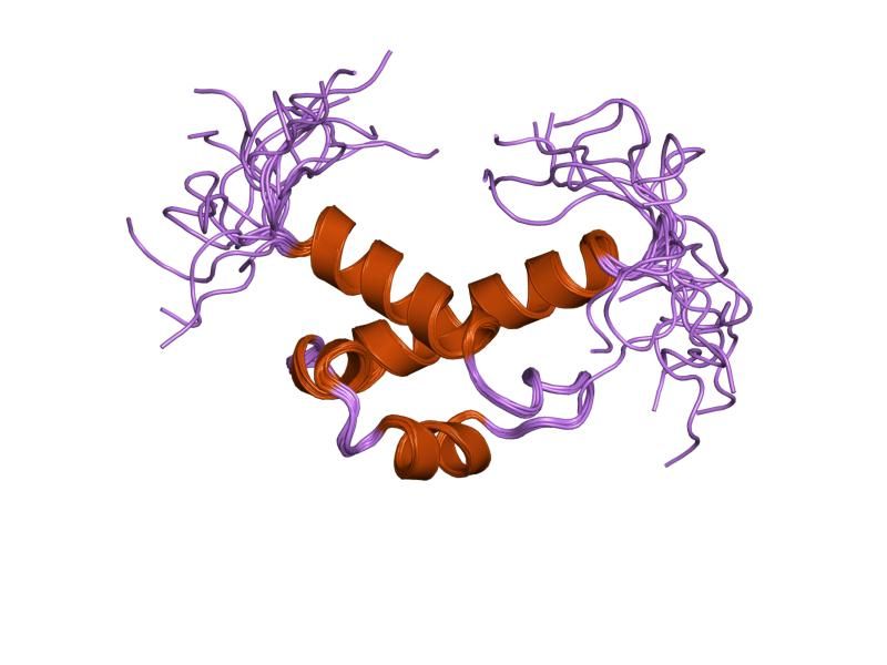 File:PDB 2cqn EBI.jpg