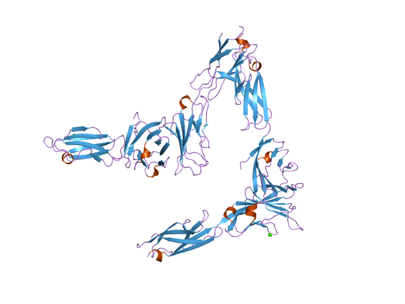 File:PDB 2if7 EBI.png